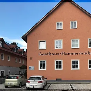 Landgasthof-hotel Hammermühle Donaustauf